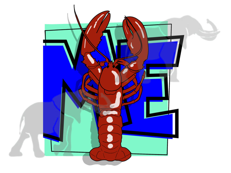 Maine Lobster PNG